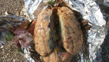 Muža počas prechádzky na pláži zaujal záhadný balíček. Našiel v ňom mozog