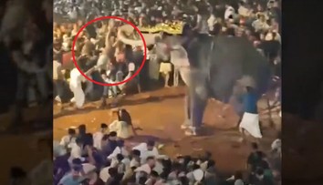 VIDEO: Rozzúrený slon sa vrhol na veriacich. Muž, ktorého schmatol chobotom, utrpel vážne zranenia
