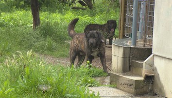 V „dome hrôzy“ v Hronovciach trpeli dôchodcovia. Teraz trpia susedia