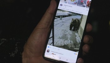 Zvláštny úkaz v kežmarskom okrese. Buntoší uprostred zimy medveď alebo sa ktosi s dedinčanmi zahráva?