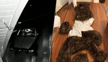 Kuriózny pokus o poistný podvod. Muž sa prezliekol za medveďa a zničil luxusné auto