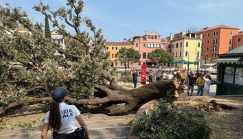FOTO+VIDEO: Dráma v Benátkach. Turistické námestie sa zmenilo na miesto nešťastia, na skupinu ľudí spadol dub