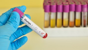 V Bratislavskom kraji zaznamenali jeden prípad nebezpečného ochorenia
