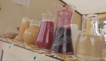 Burčiak už tečie prúdom. Vinári prezradili, aký ročník vína nás čaká