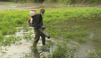 Po silných búrkach prichádza na rad boj s komármi. Pracovníci s postrekmi zasahovali na Devíne