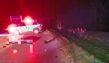 FOTO: Nočná tragédia pri Hlohovci. Nadrogovaný vodič zrazil muža ležiaceho na ceste