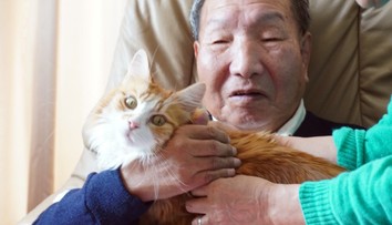 Polstoročie čakal na trest smrti za vraždy, ktoré nespáchal. Boxer Iwao Hakamada sa dočká odškodného