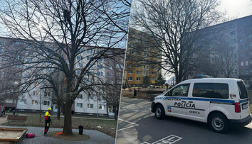 VIDEO: Kuriózny nález v Senici. Museli privolať špecialistu