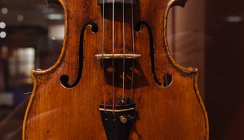 Záložňa kúpila husle za 50 dolárov. Ukázalo sa, že stoja hotový majetok