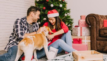 Zvieratá ako darček: Pri výbere domáceho miláčika myslite zodpovedne