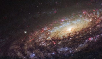 Webbov teleskop zachytil vo vesmíre záhadné červené body. Vedci stále nevedia, čo presne ukrývajú