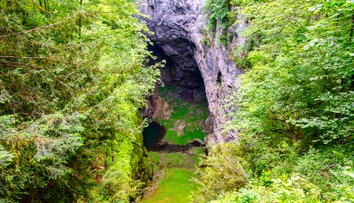 Do priepasti na juhu Moravy skočila matka s dvomi deťmi. Nikto z nich neprežil