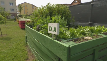 Vädne vám záhrada? Odborníčka radí, kedy ju počas horúčav nikdy nepolievať