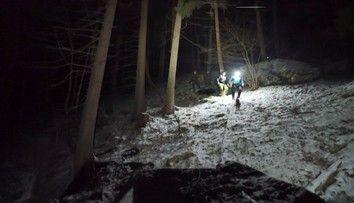Útok medvedice na Liptove vyvolal vášne. Známy ekológ ukázal na problém, ktorý mohol stáť za celým nešťastím