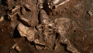 Moderné ženy majú jednu časť tela rovnakú ako neandertálci. U mužov sa evolúcia vydala iným smerom