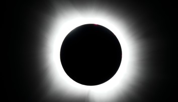 Zatmenie Slnka môže naznačiť zvieratám, že deň sa končí skôr. Ako pripraviť domácich miláčikov na zmenu svetla?
