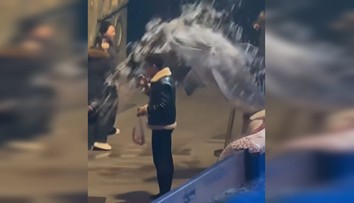 VIDEO: Muž si v akváriu napriek zákazu zapálil cigaretu. Bieluha mu dala lekciu