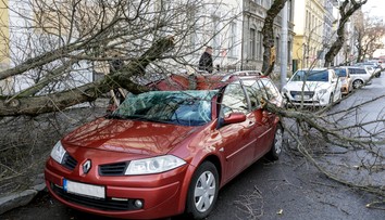 Zlé počasie vyčíňalo aj v Bratislave: Spadnuté múry, poškodené autá a polámané stromy
