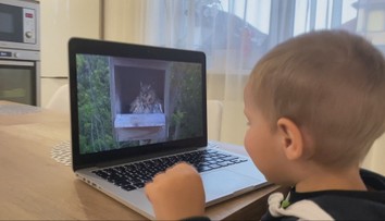 Muž, ktorý dal prírode oči: Živé kamery sledujú milióny ľudí. Roky priniesli vtipné aj smutné momenty