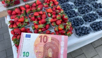 Dalibor dal škôlkarom jahody zadarmo. O chvíľu za ním prišla neznáma žena a dojala ho