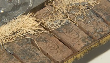 Unikátny nález v knižnici. Plechová krabička ukrývala 120-ročnú čokoládu