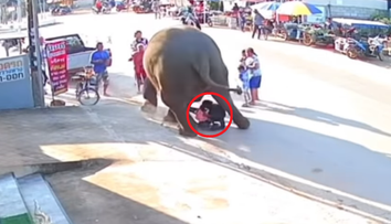 VIDEO: Rituál so slonom sa zvrtol. Niekoľkotonový kolos takmer rozdupal dvojročné dievčatko