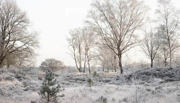 Vieme, aké bude počasie na Silvestra a Nový rok. Európu ovplyvní silná anticyklóna