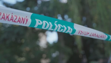Tragický záver pracovného týždňa na západe Slovenska. Muža (†35) smrteľne zavalil strom