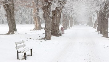 Polárny vír sa zrúti oveľa skôr, stane sa tak len štvrtýkrát za 70 rokov. Ovplyvní to Slovensko