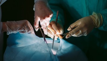 Práca v Mexiku sa zmenila na horor. Poliakom nelegálne odobrali orgány