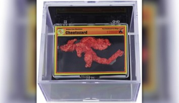 Chrumka v tvare Pokémona sa predala za takmer 90-tisíc dolárov. Dostala názov Cheetozard