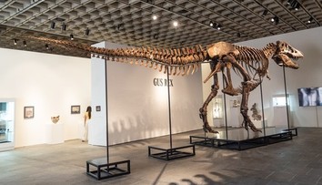 Padol nový rekord. Kostru tyranosaura vydražili za astronomickú sumu