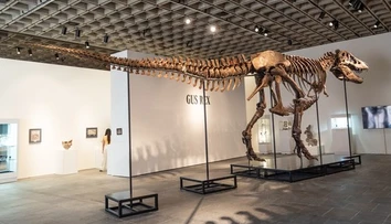 Padol nový rekord. Kostru tyranosaura vydražili za astronomickú sumu