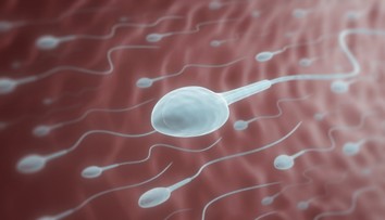 Nová štúdia prichádza s prekvapivými výsledkami. Muži s vyššou kvalitou spermií žijú dlhšie