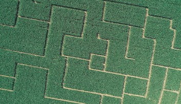 Chcete sa stratiť v kukurici? Ukážeme vám unikátne a obrovské slovenské bludisko