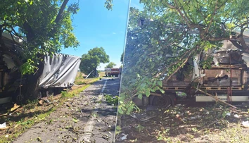 Tragická nehoda pri Dunajskej Strede. Vodič nákladiaku neprežil náraz do stromu