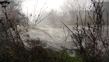 Donbas pokryla smrtiaca pavučina. Obrovský problém, s ktorým sa Ukrajina bude boriť ešte veľa rokov po vojne