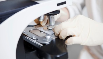 Holandské spermobanky porušovali pravidlá. Desiatky darcov sú otcami aspoň 25 detí, môže ísť o problém