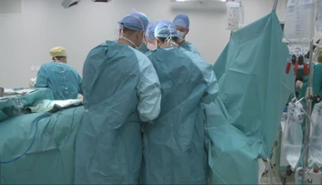 Medicínsky prelom. V Číne úspešne transplantovali prasaciu pečeň do tela človeka, žije s ňou už niekoľko dní