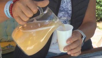 Prichádza sezóna burčiaku. Vinári radia, ako nájdeme tie najlepšie