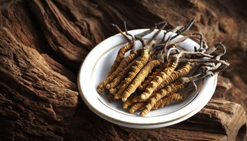 Spôsob jej prežitia a rozmnožovania otočili proti nej. Z tejto huby spravili zbytočne hrozbu