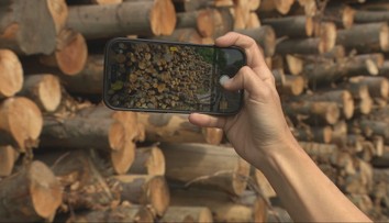 Kšeftuje sa s drevom zo slovenských lesov? SaS hovorí o netransparentnosti, štátny podnik podozrenia odmieta