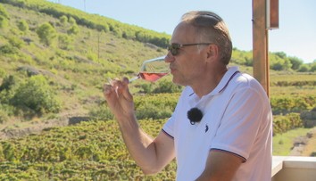 Chorvátsky ostrov, kde je víno dôležitejšie než turizmus: Vis má vlastnú tradíciu