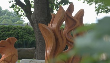 Niekto sa ich necitlivo zbavil. V Liptovskom Mikuláši však našli spôsob, ako otrávené staré lipy zachovať