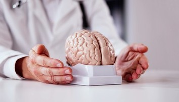 Horčík ako kľúč k zdraviu mozgu? Vedci varujú pred jeho nedostatkom