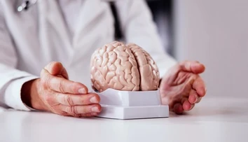 Horčík ako kľúč k zdraviu mozgu? Vedci varujú pred jeho nedostatkom