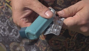 Alergici si ani počas leta nevydýchnu. Najsilnejšie peľové obdobie je práve teraz