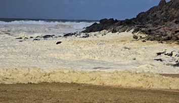 VIDEO: Na obľúbených plážach surfistov sa objavila záhadná pena. Zdravotné ťažkosti hlási vyše sto ľudí