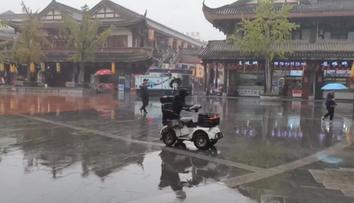 VIDEO: Šofér, akého svet nevidel. Labrador sa preháňal mestom na elektrickom skútri