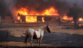 Požiar v Kalifornii zničil viac než 175 budov, muža označeného za pôvodcu zatkli